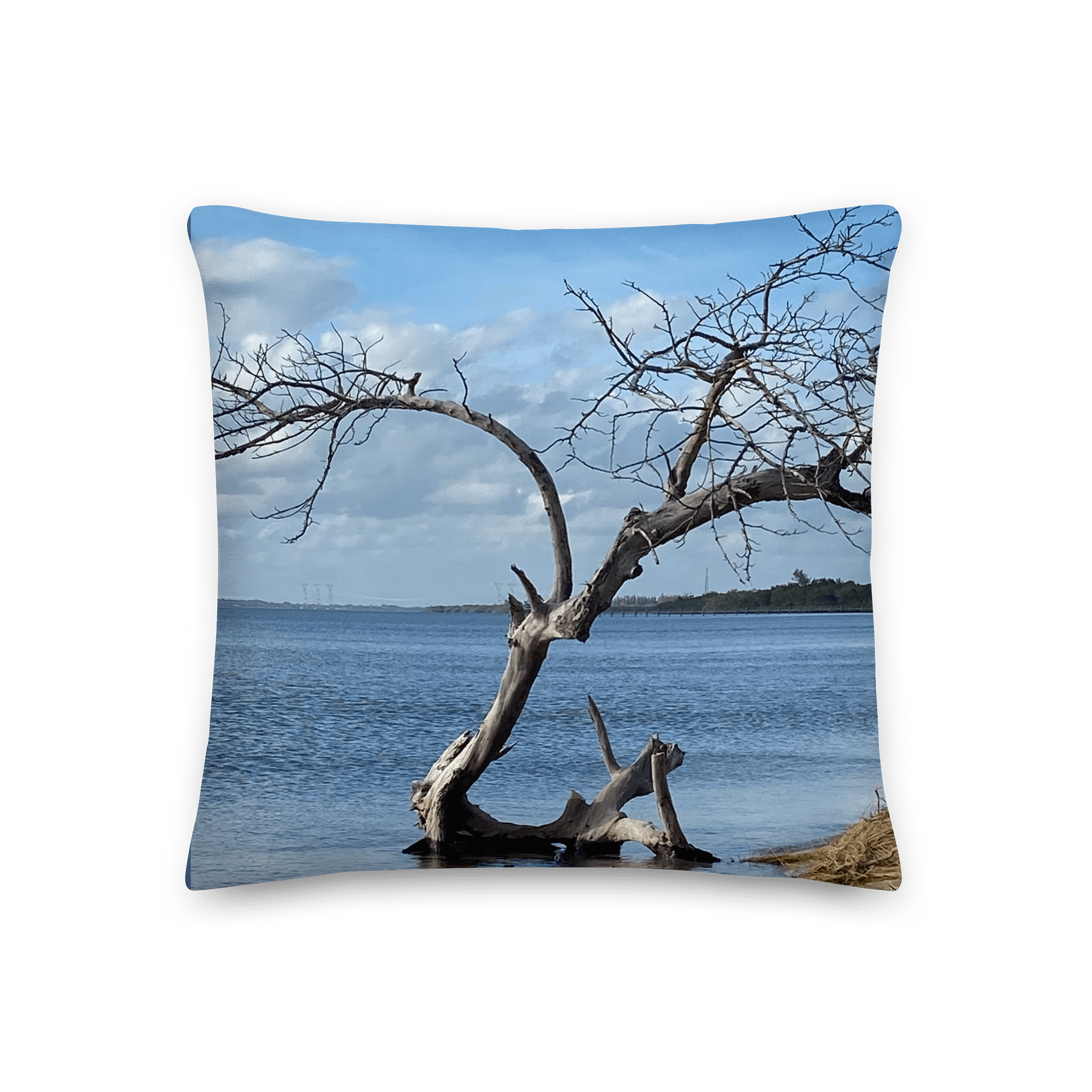 Twisted Tranquility Decorative Pillow product image (1)