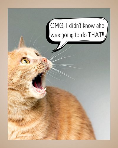 Find out what in the world of A.G. Hughes is doing to her characters. You won't believe what's coming next 😱 The newsletter i...