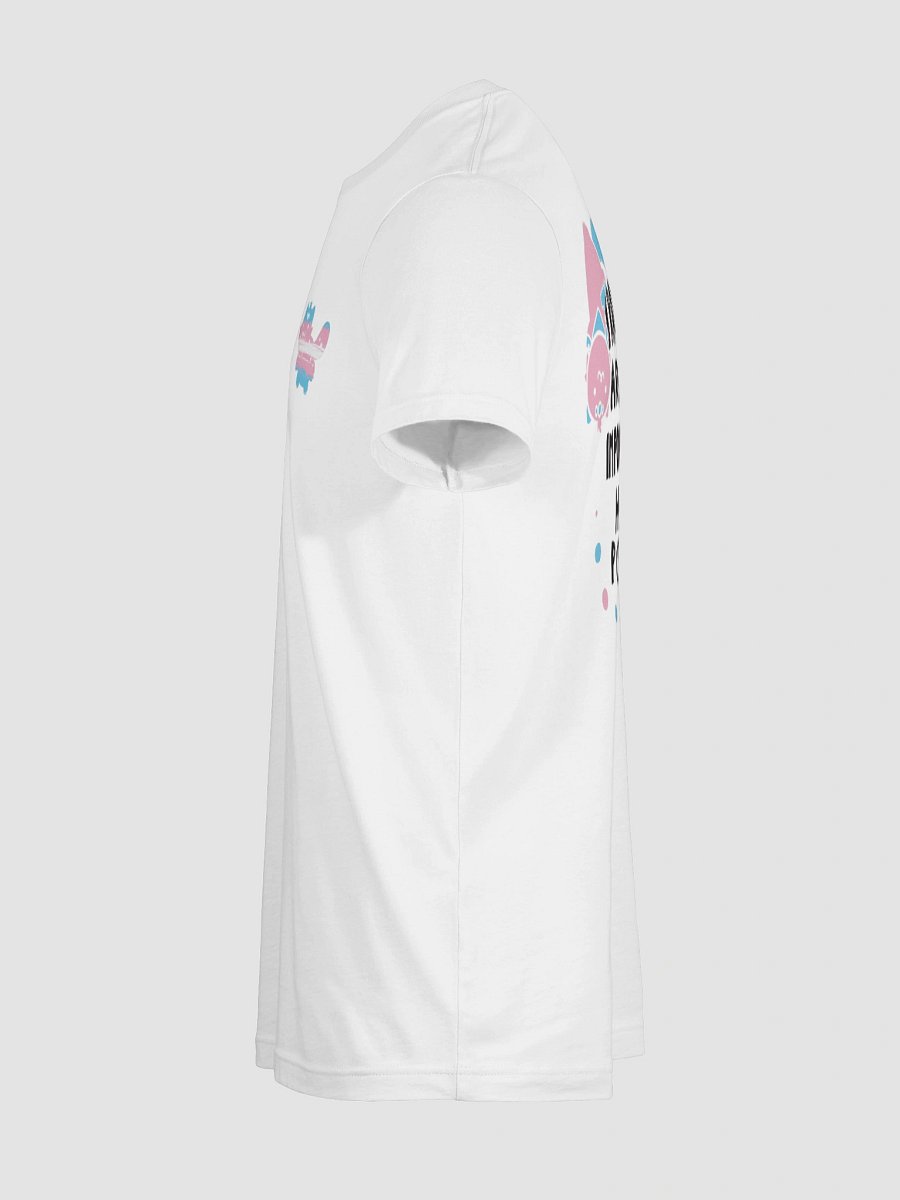 ✨ BACK PRINT ✨ Chipflake Trans Lives product image (11)