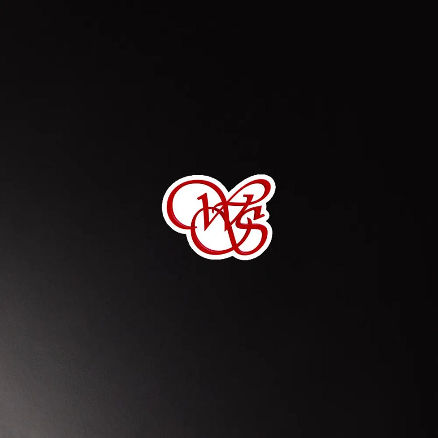 WS 3