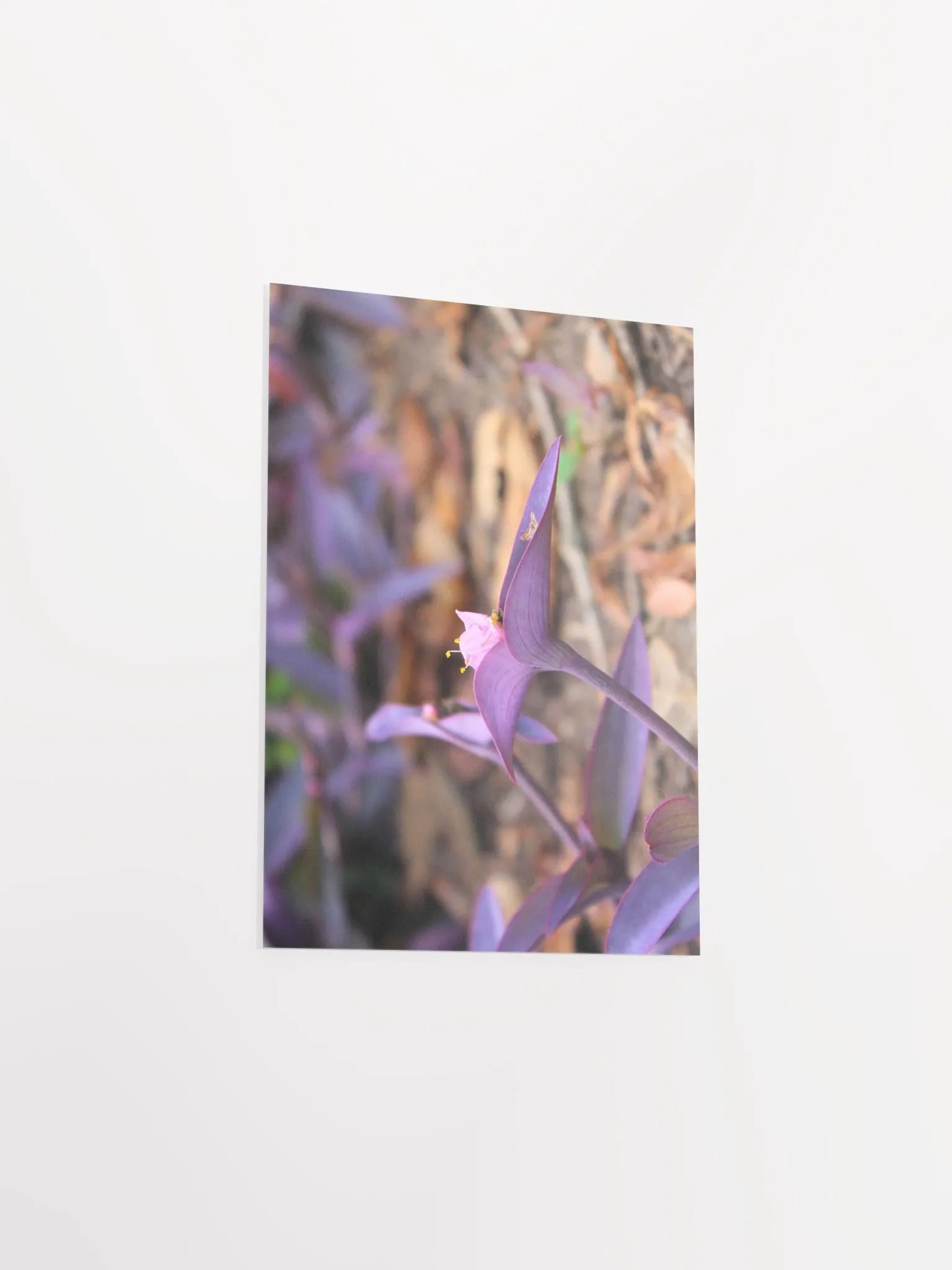 A Study in Flowers 8 product image (3)