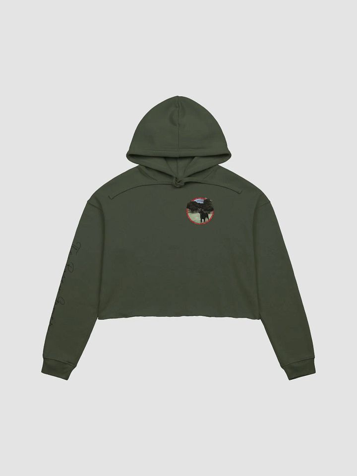 Kirby Club Crop Hoodie product image (1)
