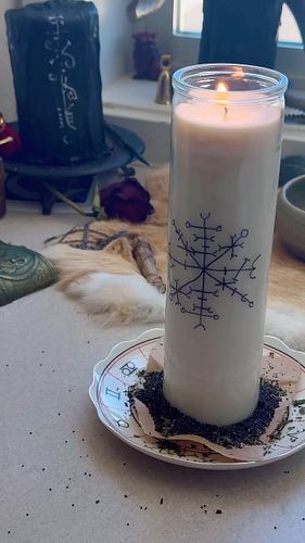 Protester Protected Spell
• sigil
• candle
• paper & pen
• protective herbs(I used Nettle and Poppy seeds)

Draw this or your...