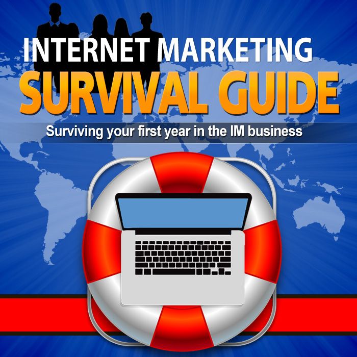 Internet Marketing Survival Guide product image (2)