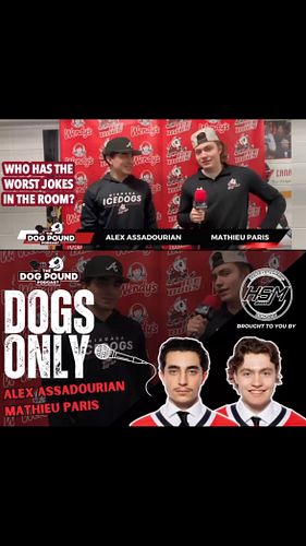 🎤 On our latest Dogs Only, fellow Niagara @ohlicedogs forwards Alex Assadourian & Mathieu Paris respond to Matthew Virgilio &...