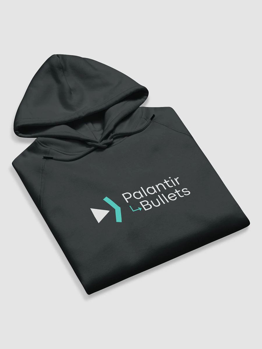 Palantir Bullets Hoodie Black product image (6)