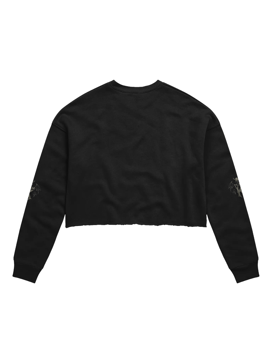 Team K V-3 Crop Sweatshirt product image (2)