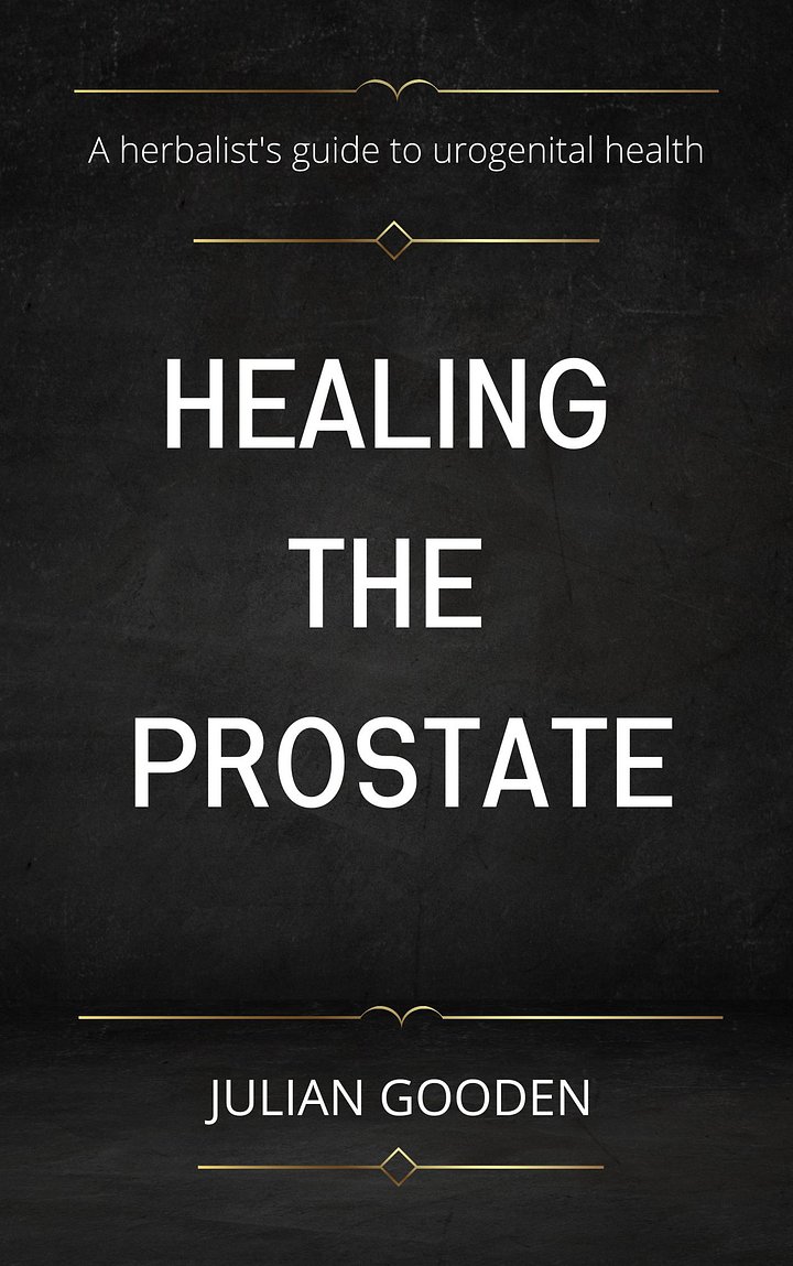 Healing the Prostate (Ebook) product image (2)