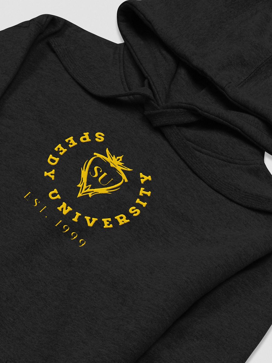 Speedy University Premium Hoodie product image (35)