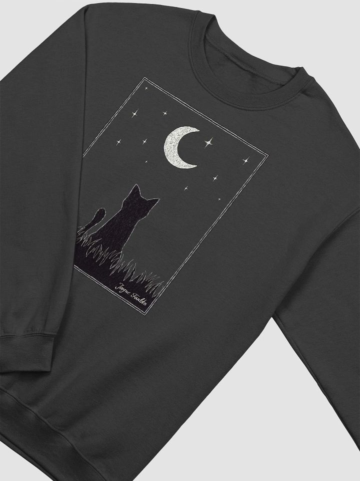 Stargazing Unisex Sweatshirt product image (2)