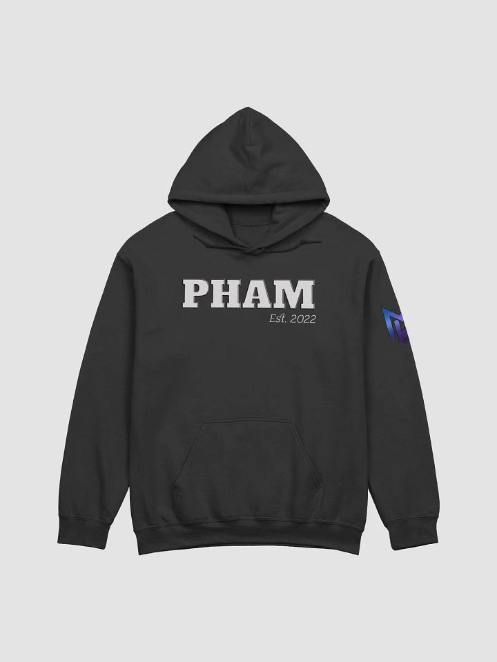 Pham EST HOODIE product image (5)