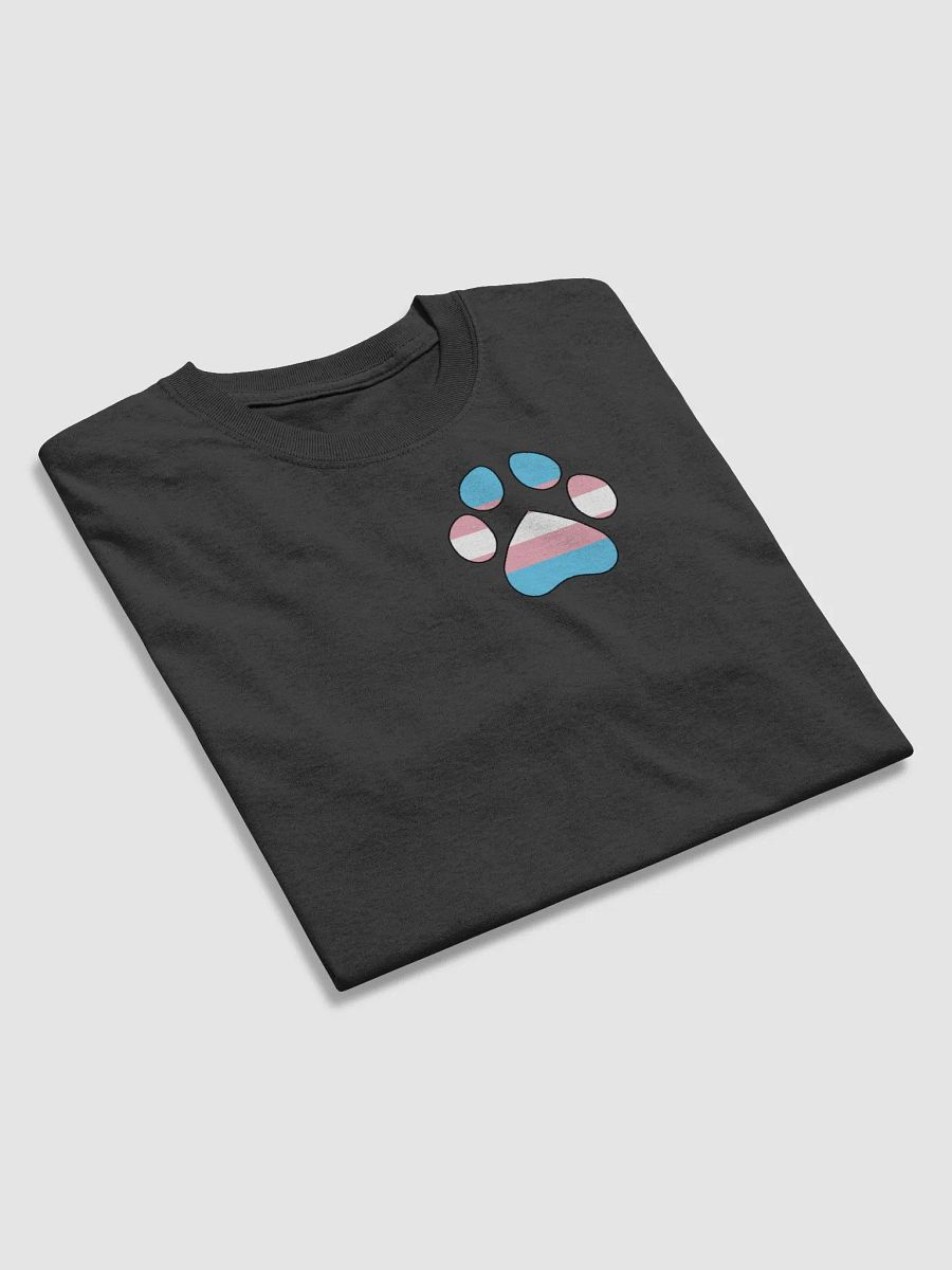 Pride Month- Transgender T-Shirt product image (7)