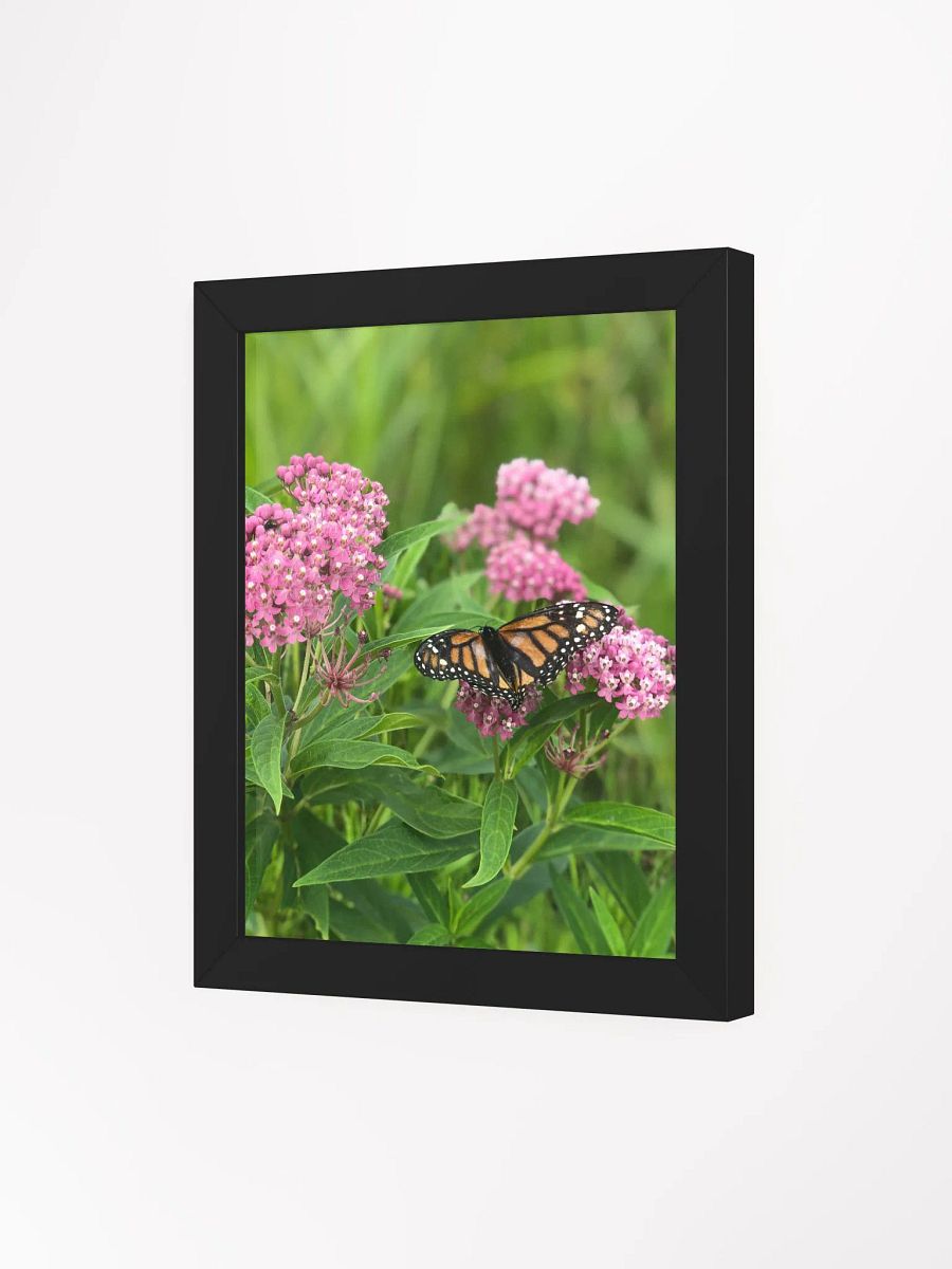 Monarch Butterfly version 2 High Quality Matte Poster product image (3)