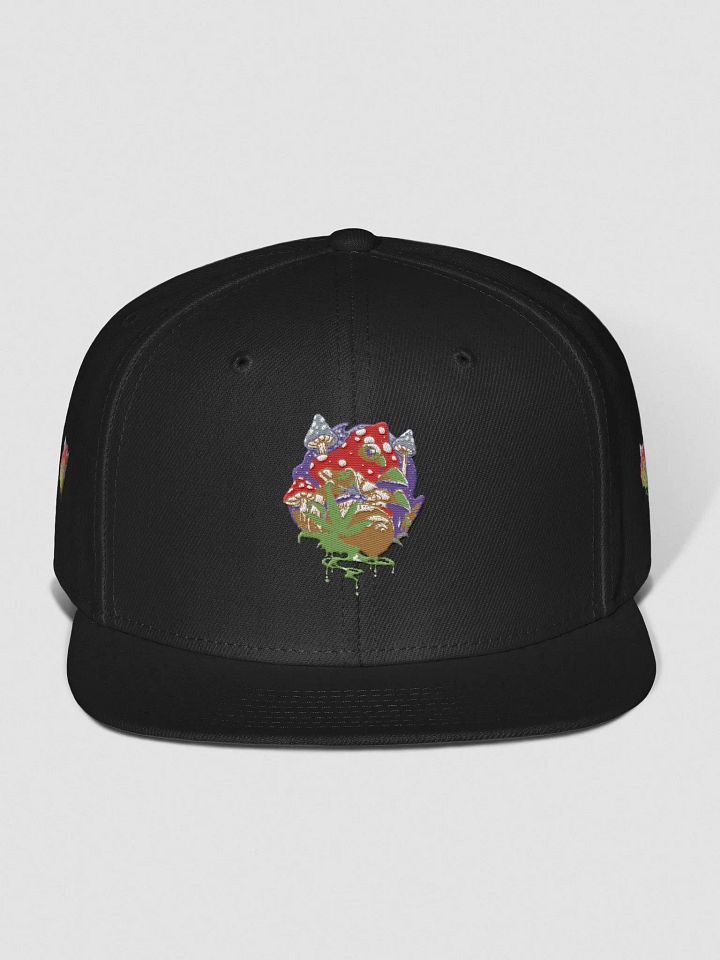 BizzWorld Drip snapback collection product image (11)