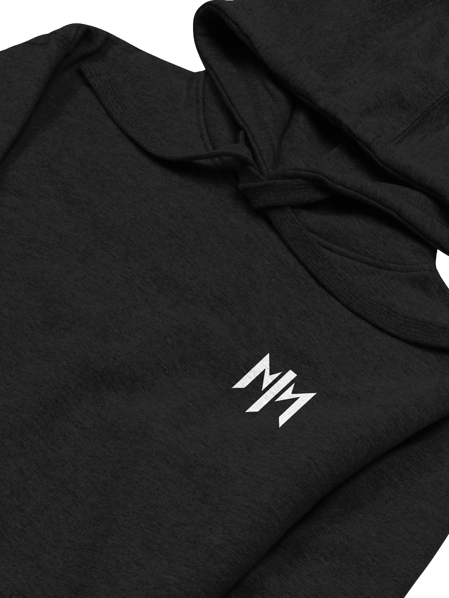 Ambient Statement Hoodie Back Printed Hoodie product image (31)