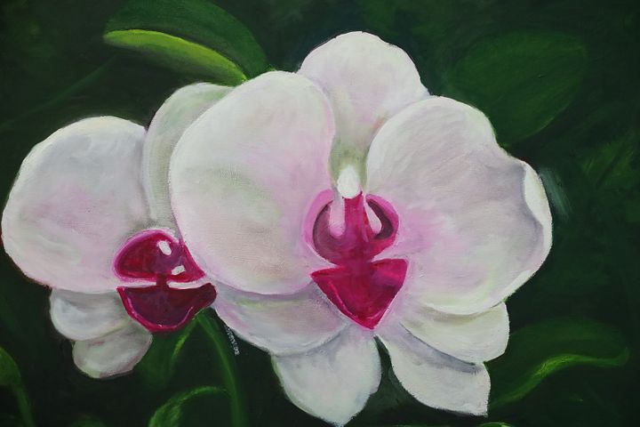 Orquidea product image (1)
