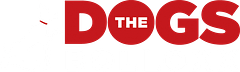 TheDogsBolloXX