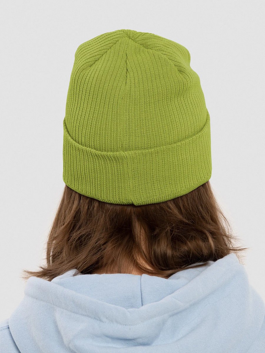 Raw Intuition Watermelon Ribbed Beanie product image (9)