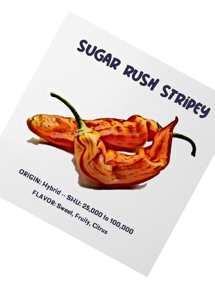 Sugar Rush Stripy Pepper Sticker product image (2)