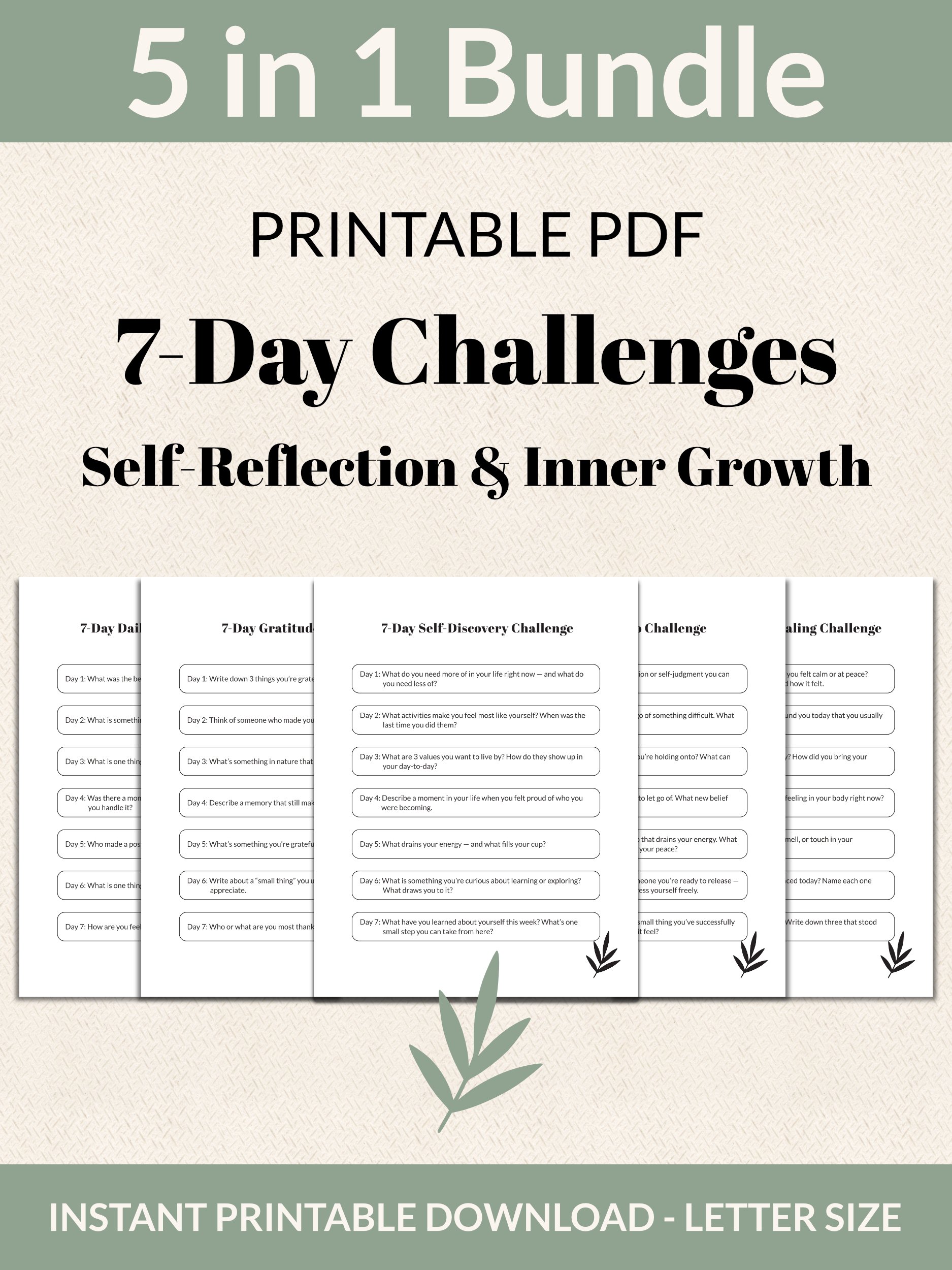Self-Reflection & Inner Growth Bundle 7-Day Challenges Printable product image (1)