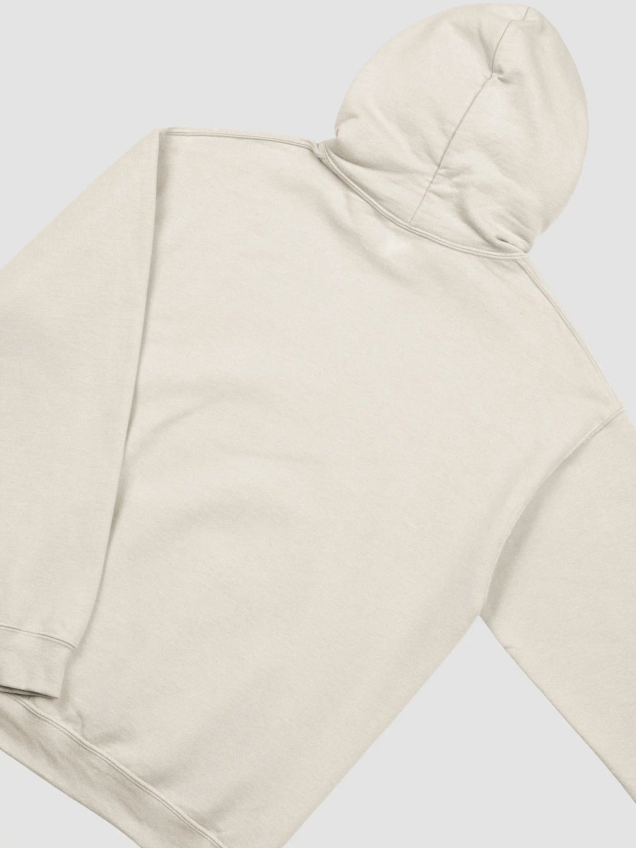 Delusionary Hoodie product image (3)
