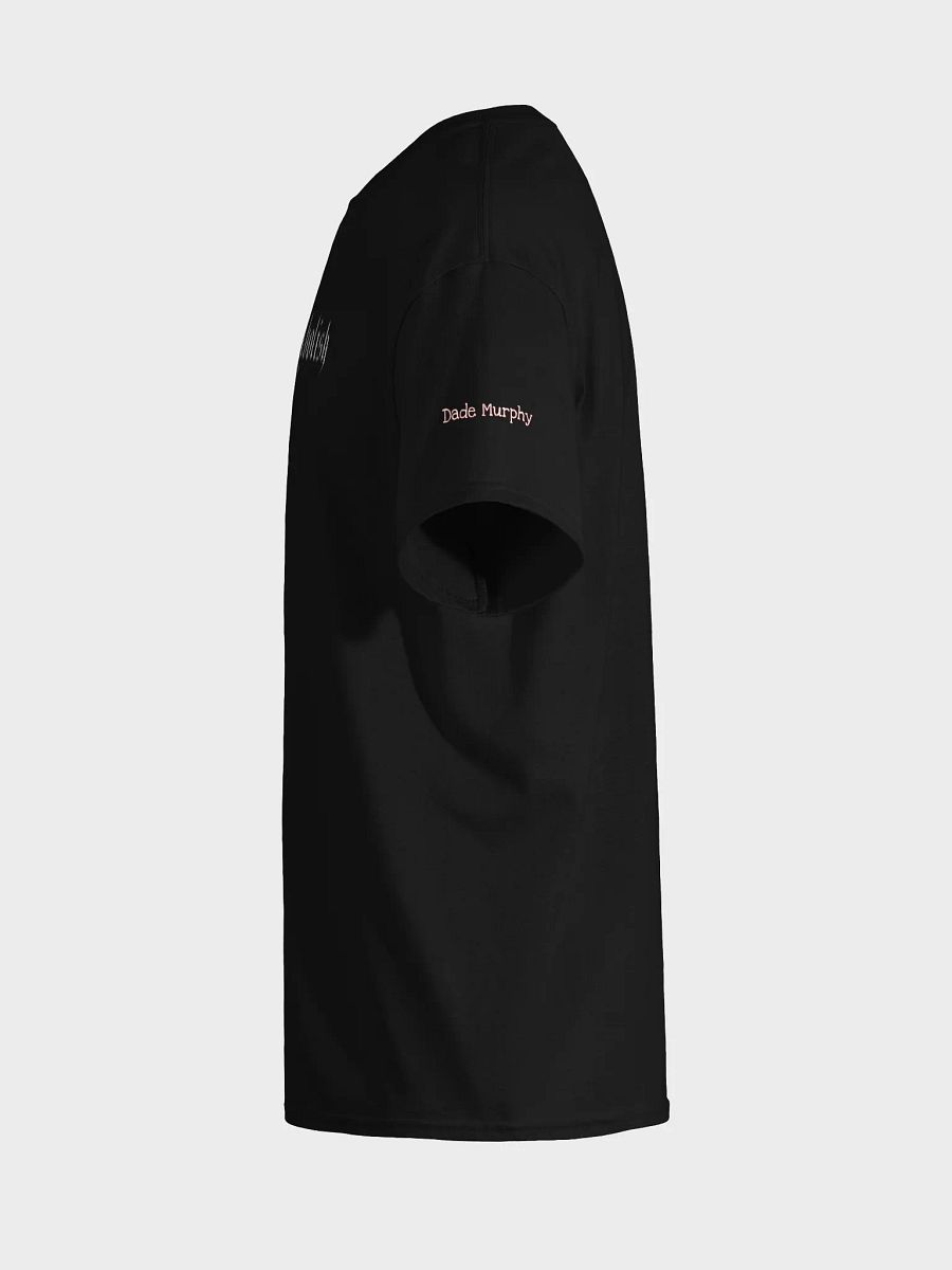 Fulfill Does Not Equal Abolish product image (7)