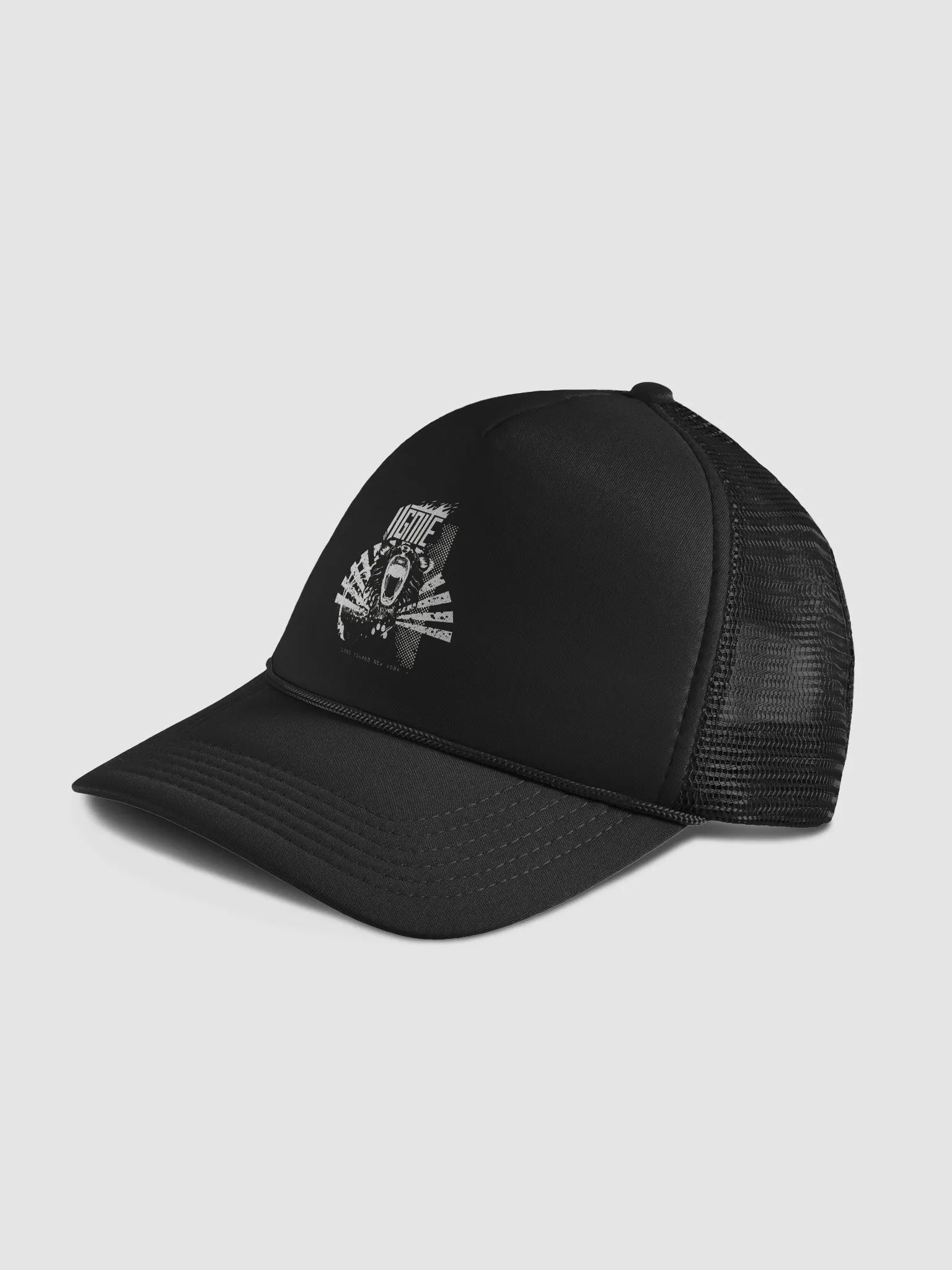 Lion Logo dad hat snap back product image (4)
