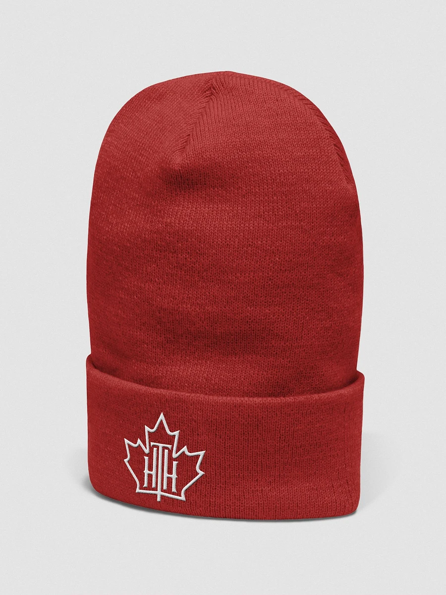 HTH Beanie product image (2)