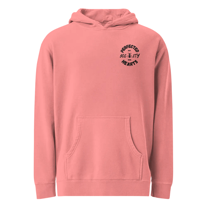 PHS Embroidered Hoodie (PNK) product image (1)