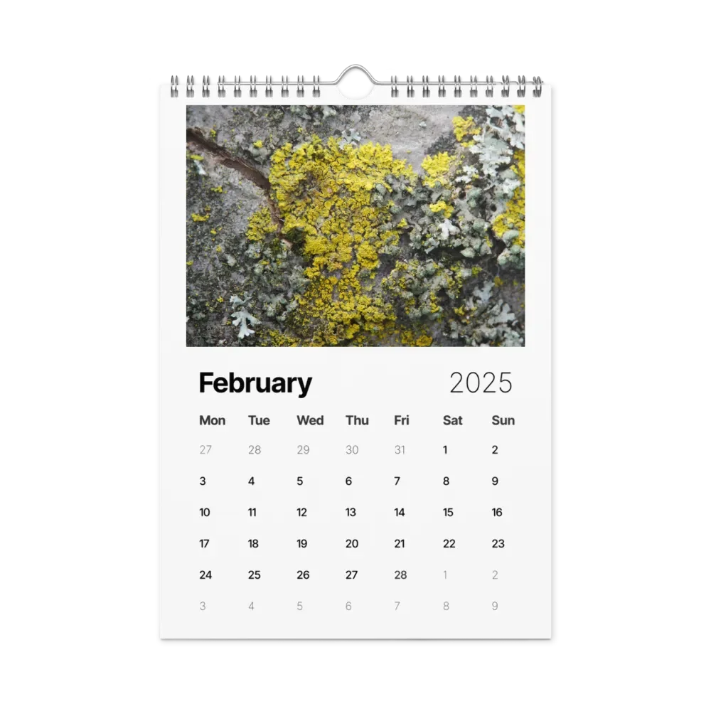 Likin' Lichen 2025 Wall Calendar product image (3)
