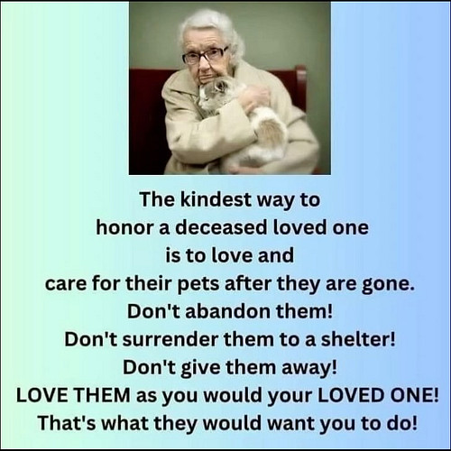 How to Honor a Deceased Loved One who had a fur baby…. #doglovers #pets #viralreels #deceased #followｍe #kindnessmatters #hon...