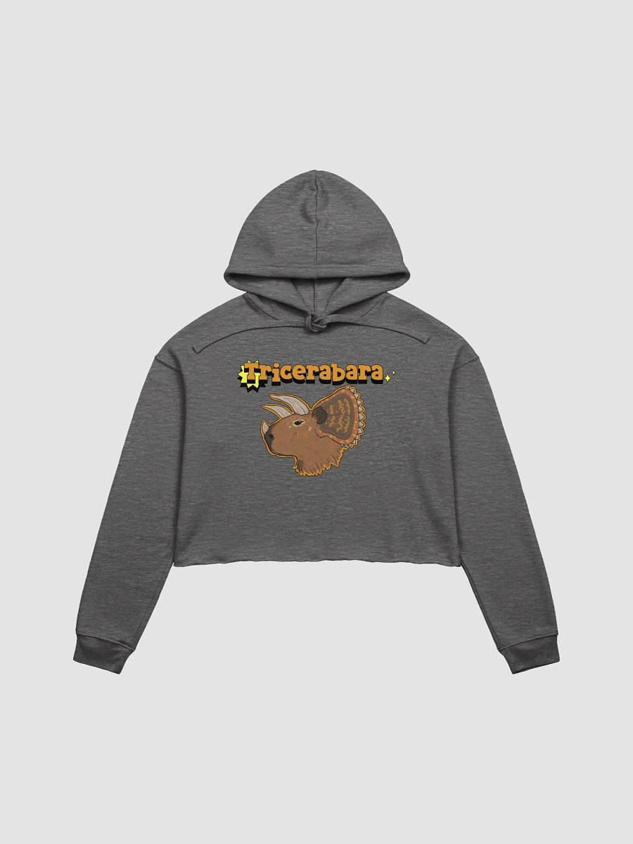 Tricerabara crop hoodie product image (1)