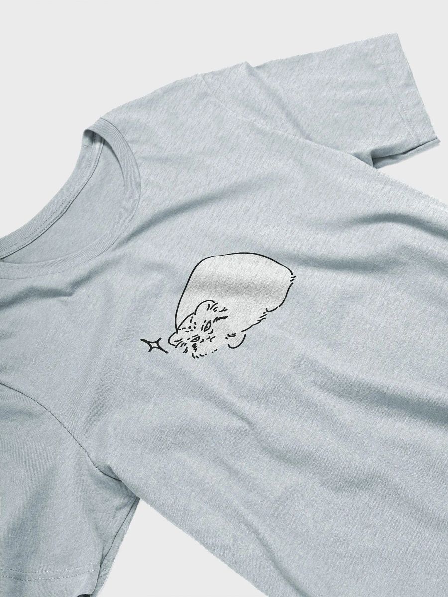Grumpy Manul - Bella+Canvas Unisex T-Shirt product image (28)
