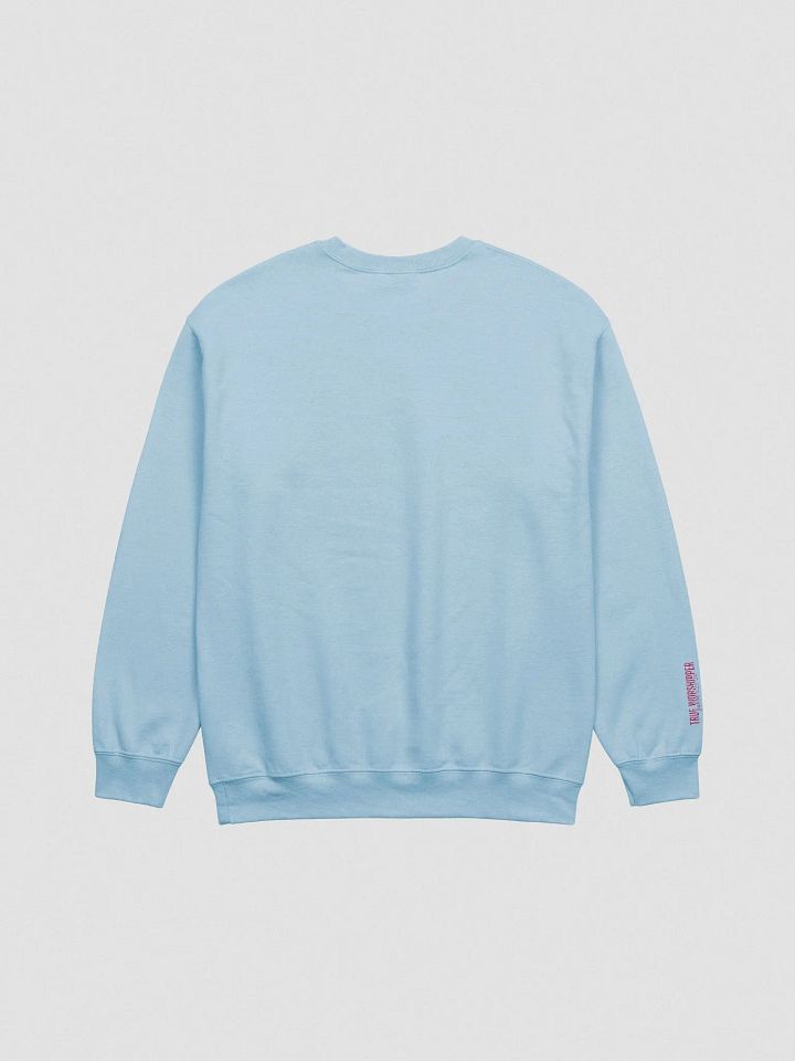 The Clapping Worshipper Embroidered Sweatshirt | Light Colors product image (5)