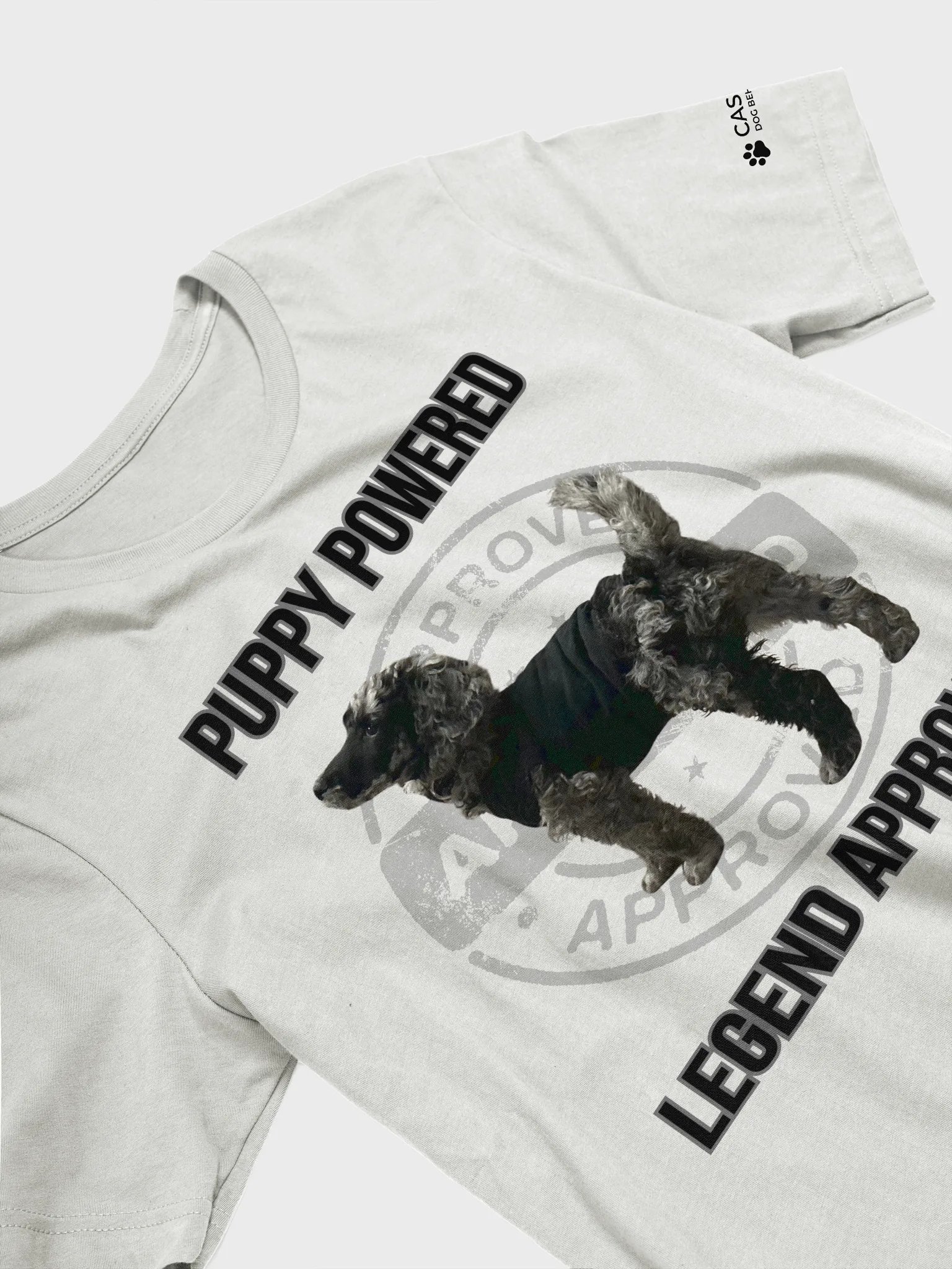 LEGEND APPROVED T-Shirt product image (8)