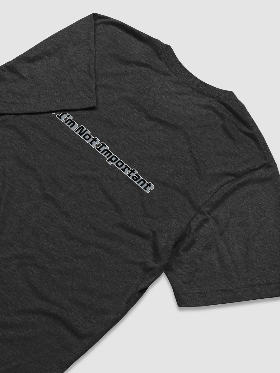 Triblend Short Sleeve T-Shirt - Mr I'm Not Important product image (4)