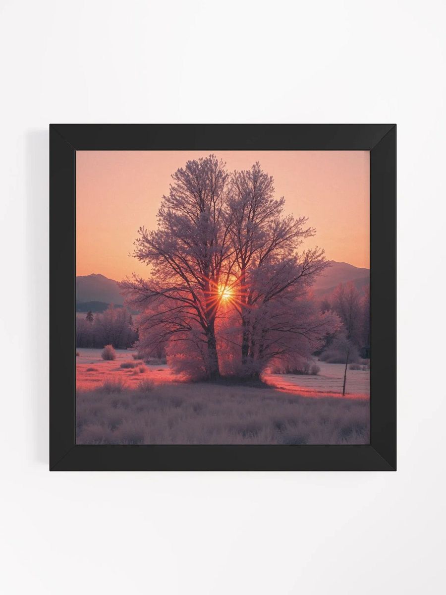 Frosty Sunrise Framed Print product image (29)