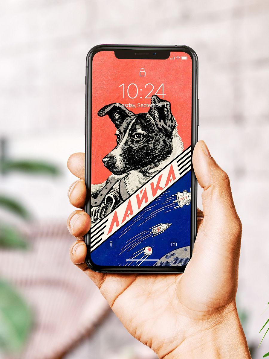 Phone Wallpaper: Laika, first space dog, USSR / Soviet vintage space poster — Instant digital download, mobile wallpaper, Laika wallpaper product image (8)