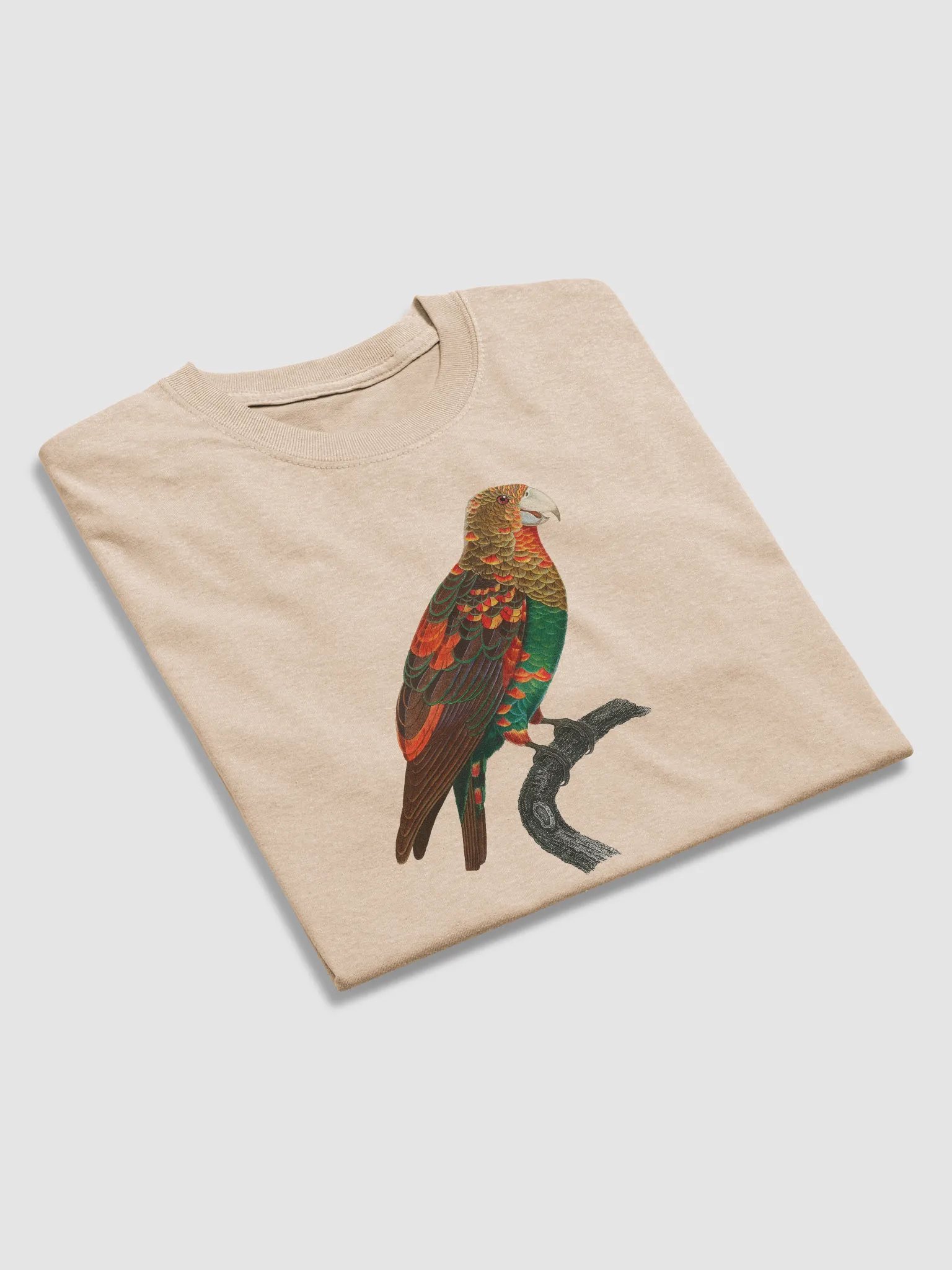 Vibrant Parrot Perch Tee product image (36)
