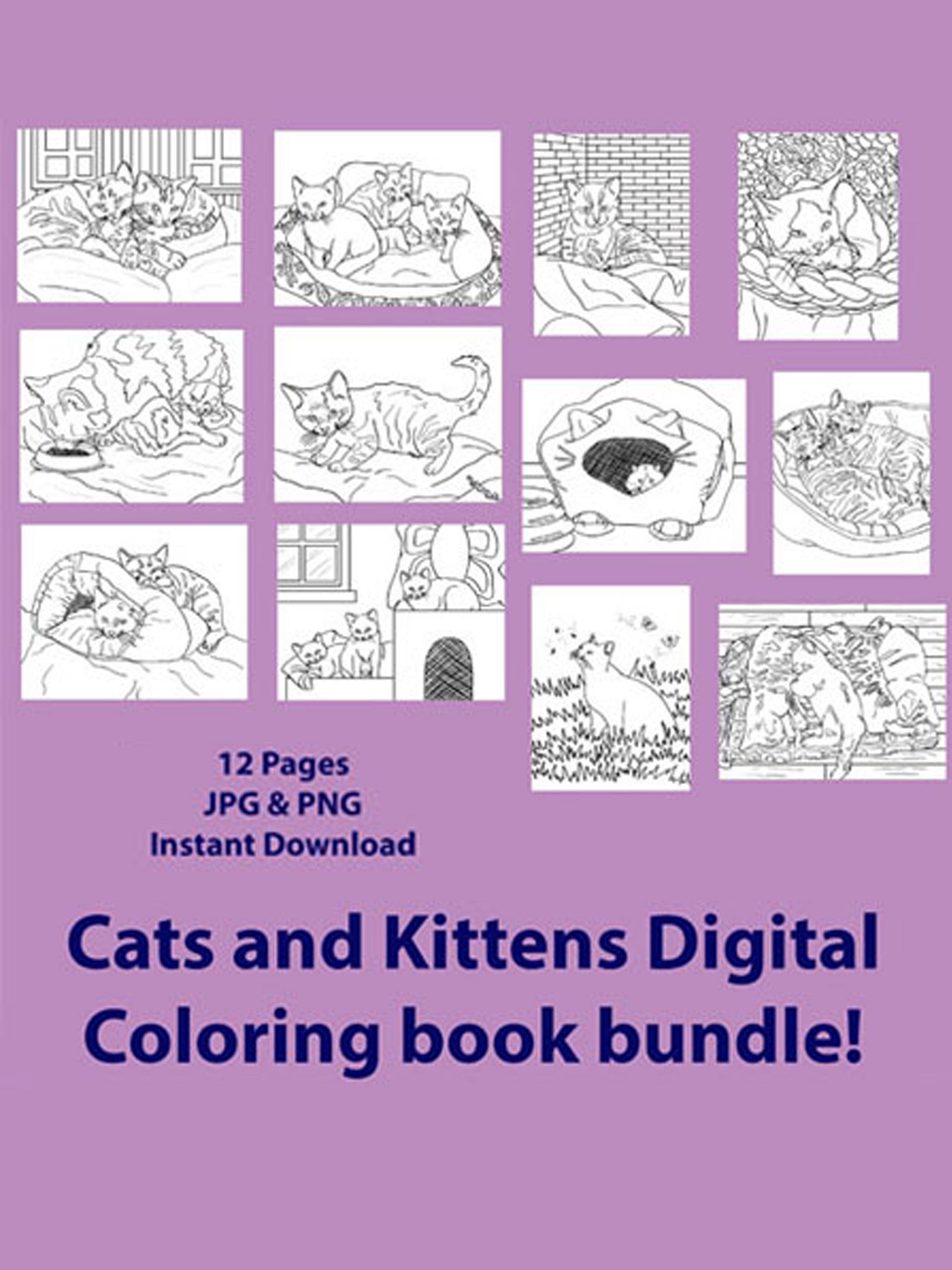 Cats & Kittens Coloring Book - 12 Pages product image (1)