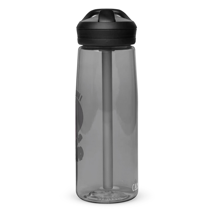 All I Got Was Cursed - Paladin - CamelBak product image (2)