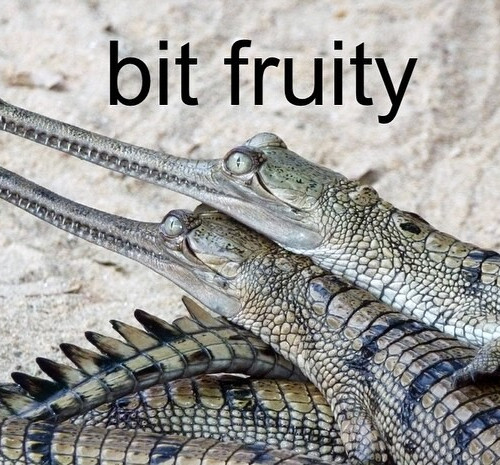 BIT FRUITY

#gator #meme #fruitcake