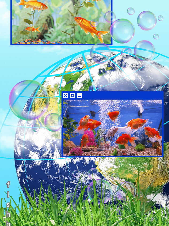 Fru_1 Wallpaper product image (1)