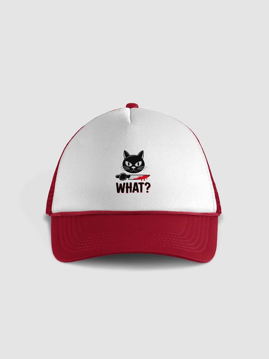 Cat What? Hat product image (1)