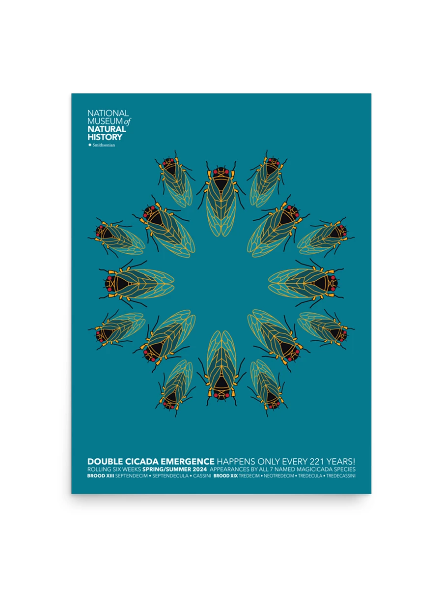 Kaleidoscope Cicadas Poster Image 1