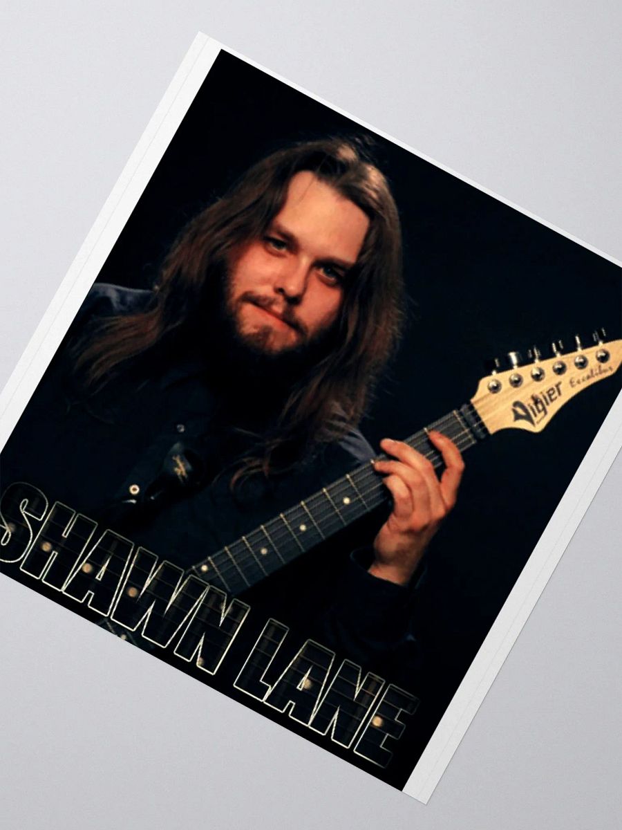 Vibrant Shawn Lane Vigier Sticker Set product image (2)