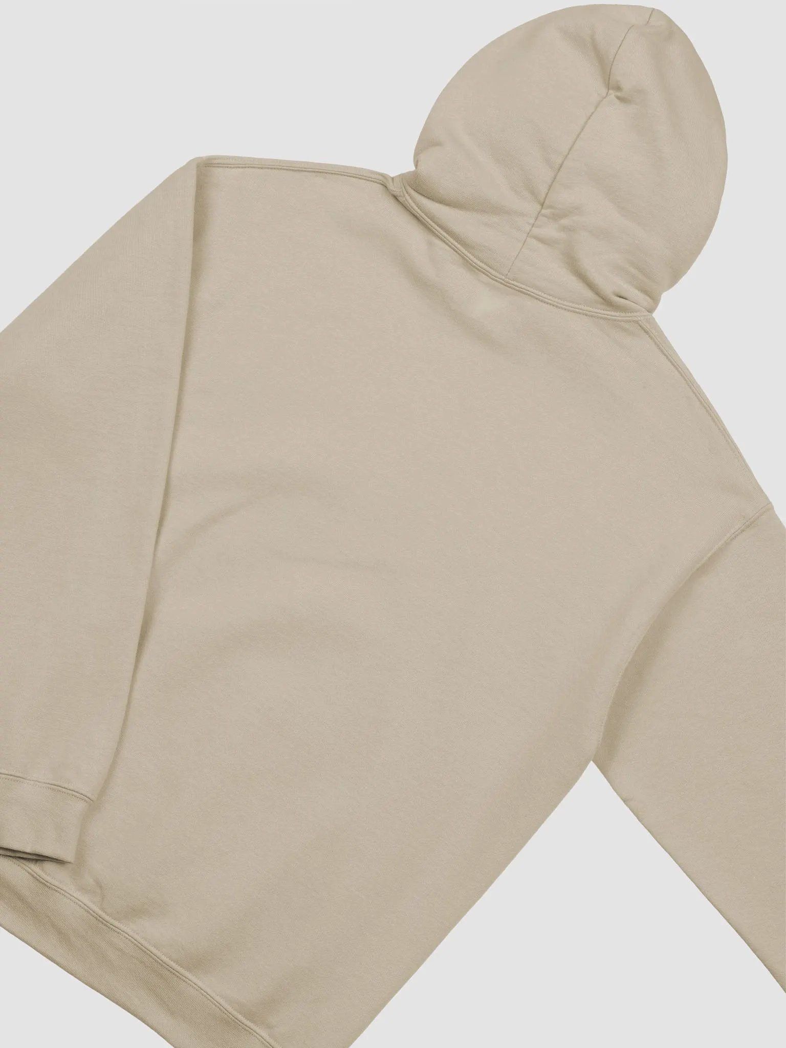 Hoodie | no arms no problem (Unisex) product image (4)