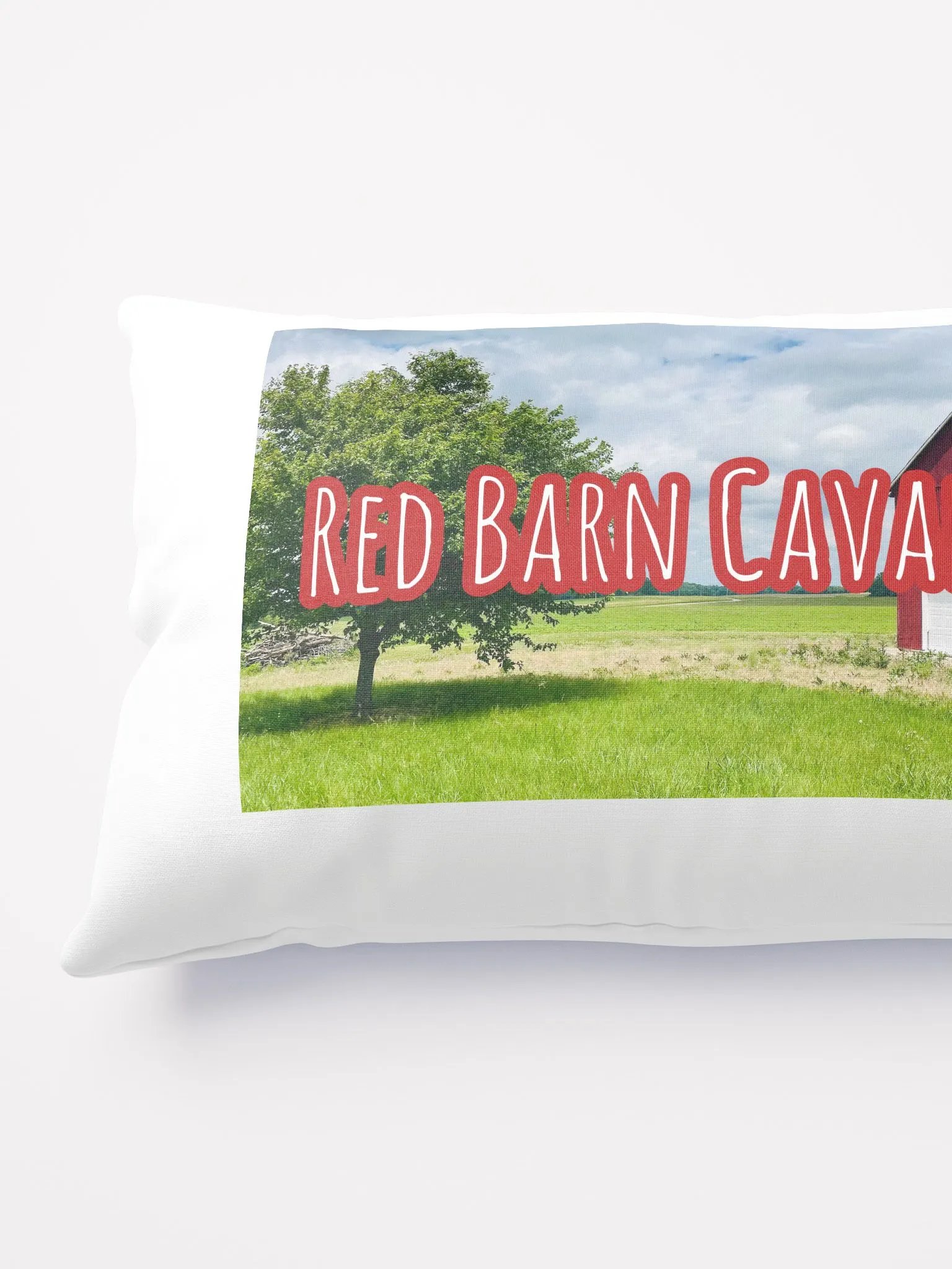 RBC Throw Pillow featuring Rio and Vienna product image (2)