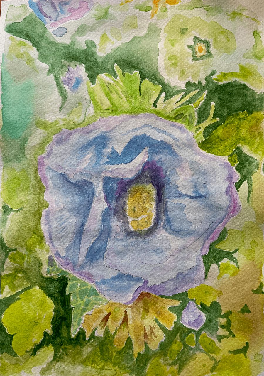 Violet Blue Flower product image (1)
