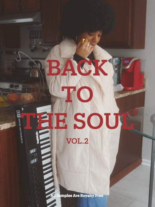 Back To The Soul Vol. 2 (SAMPLE PACK) product image (1)